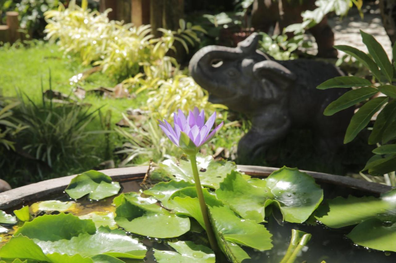 Vela Phu Quoc Resort Luaran gambar